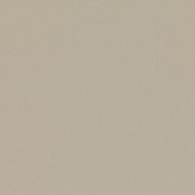 Warm grey-beige plain fabric swatch with a softly mottled woven surface