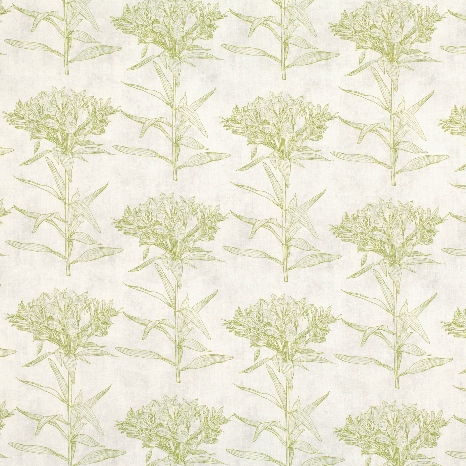 Ivory fabric with repeated pale cypress-green botanical stems and clustered flower heads
