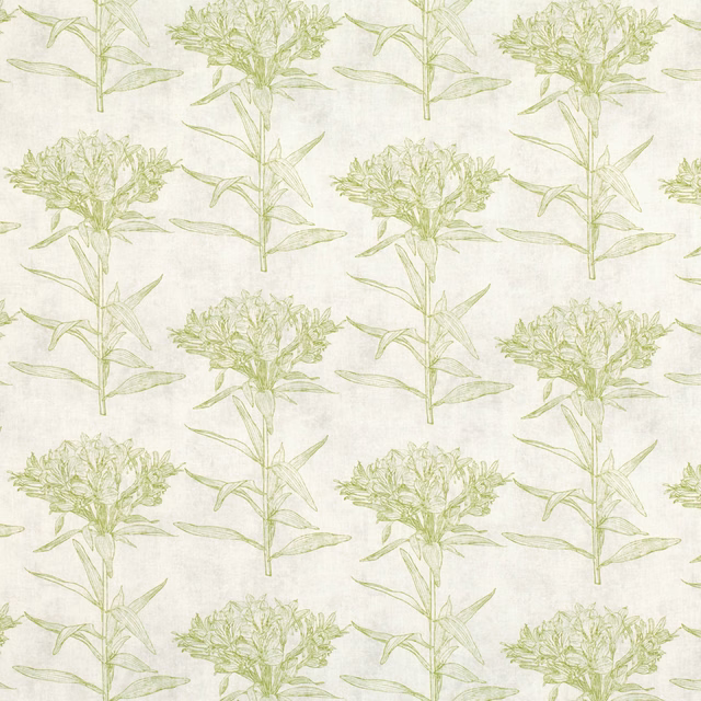 Ivory fabric with repeated pale cypress-green botanical stems and clustered flower heads