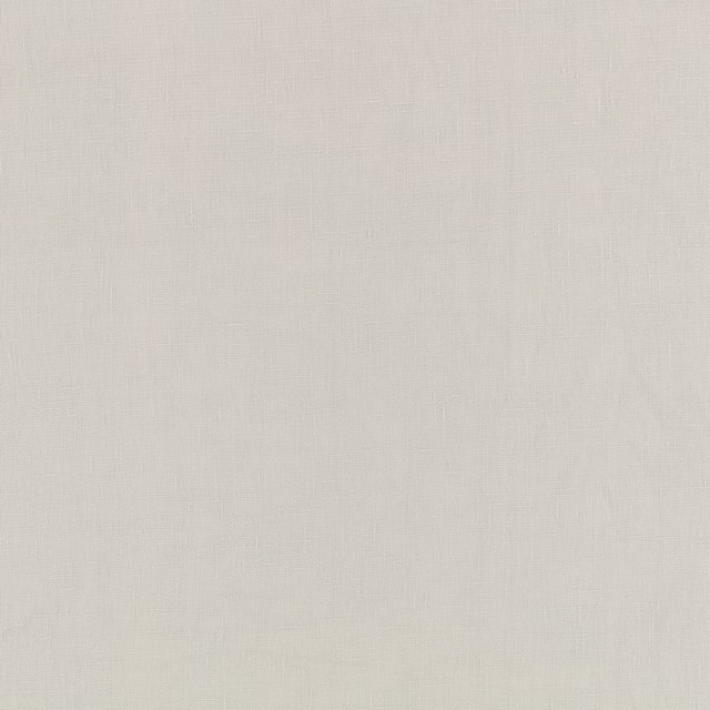 Pale silver-blue plain weave with subtle vertical and horizontal texture