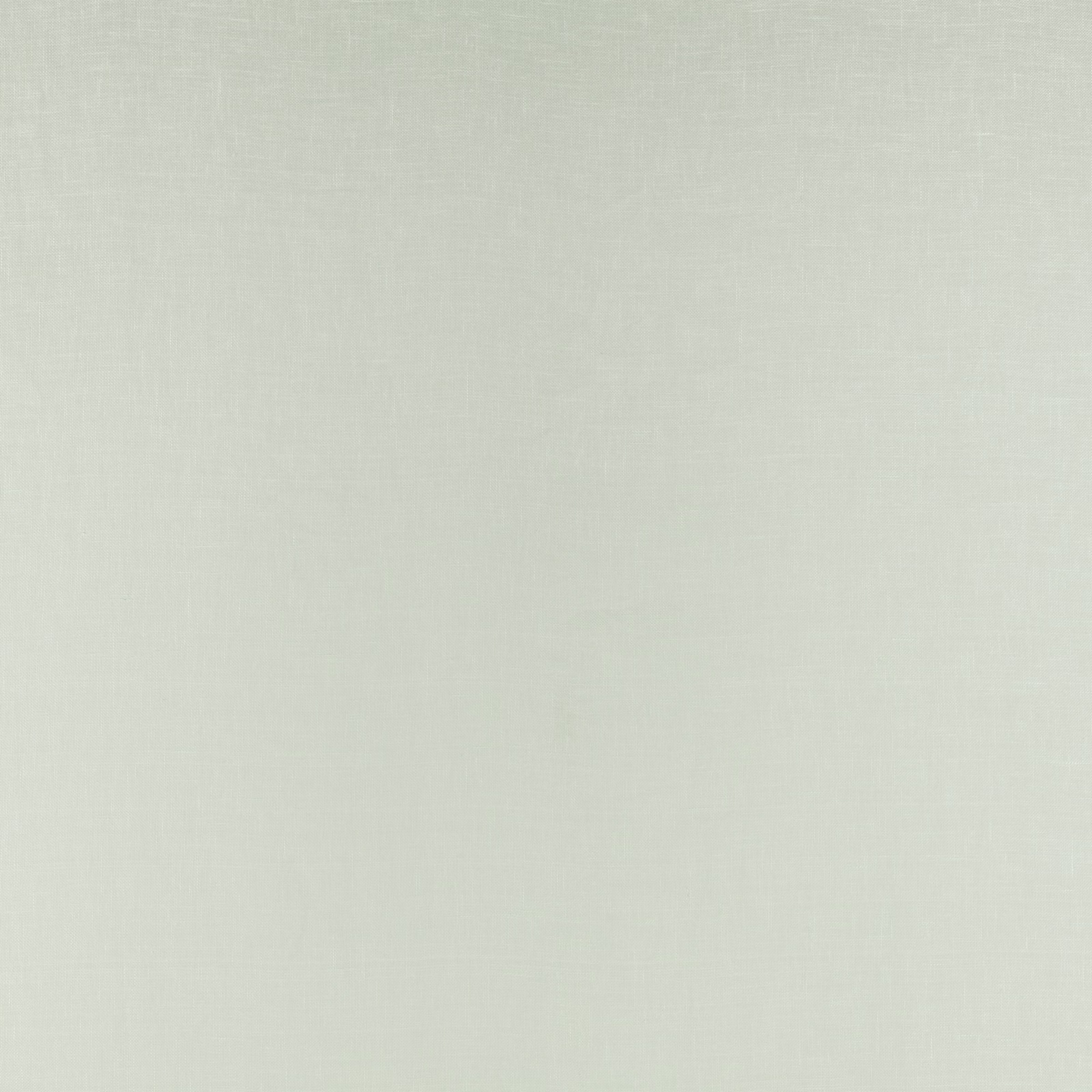 Pale grey-green plain weave with a softly luminous, fine crosshatched texture