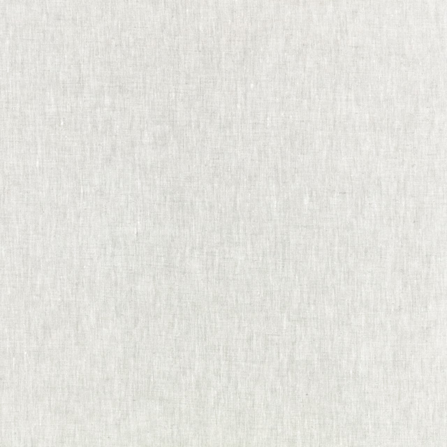 Pale silver-blue woven fabric with subtle vertical slubs and silvery tonal variation