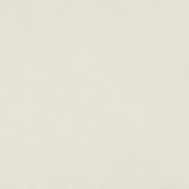 Antique white finely woven fabric with a subtle, even surface texture