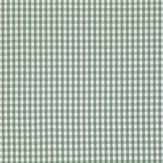 Soft celadon-green and white gingham checks with a lightly textured textile surface