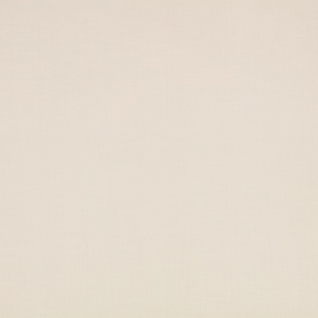 Pale opal cream fabric showing a fine, softly textured plain weave