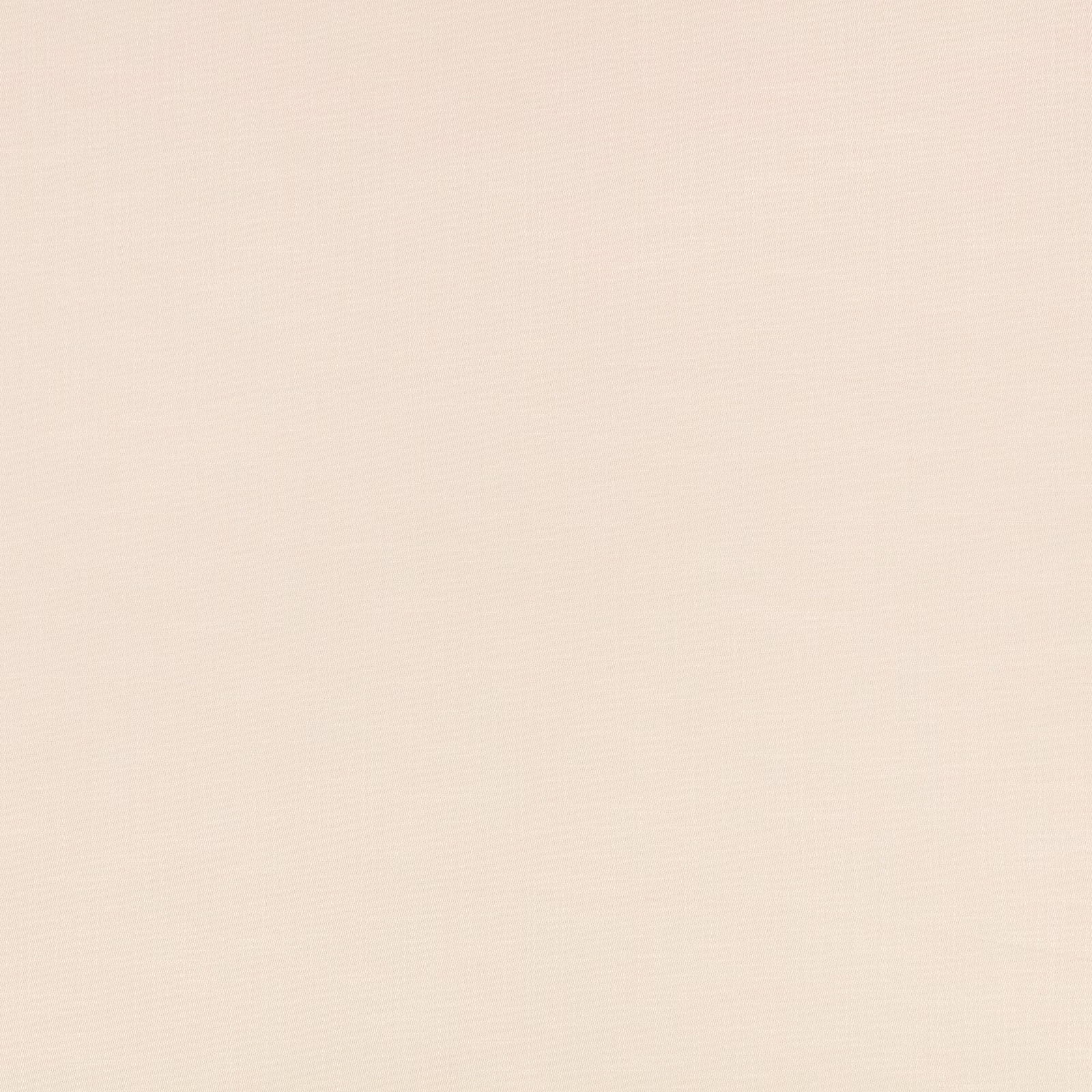 Pale silvered ivory plain-weave textile with a barely warm beige cast