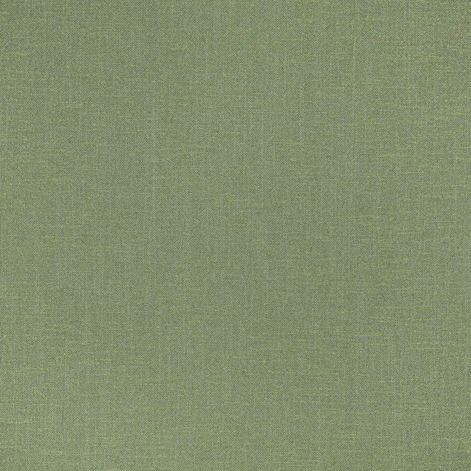 Muted fern-green plain weave with a fine, softly mottled surface