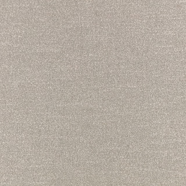 Close-up of Kyri Gris showing a softly mottled greige woven texture