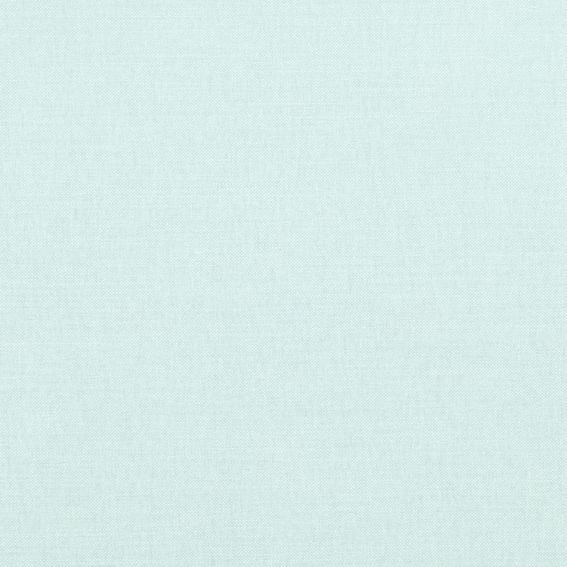 Pale aqua plain weave with a fine, softly crosshatched surface