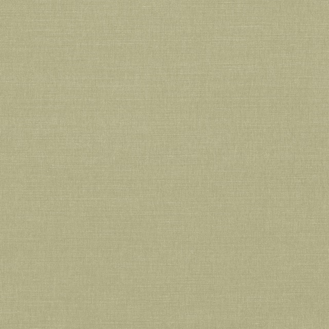 Muted artichoke-green plain weave with a fine, softly textured surface