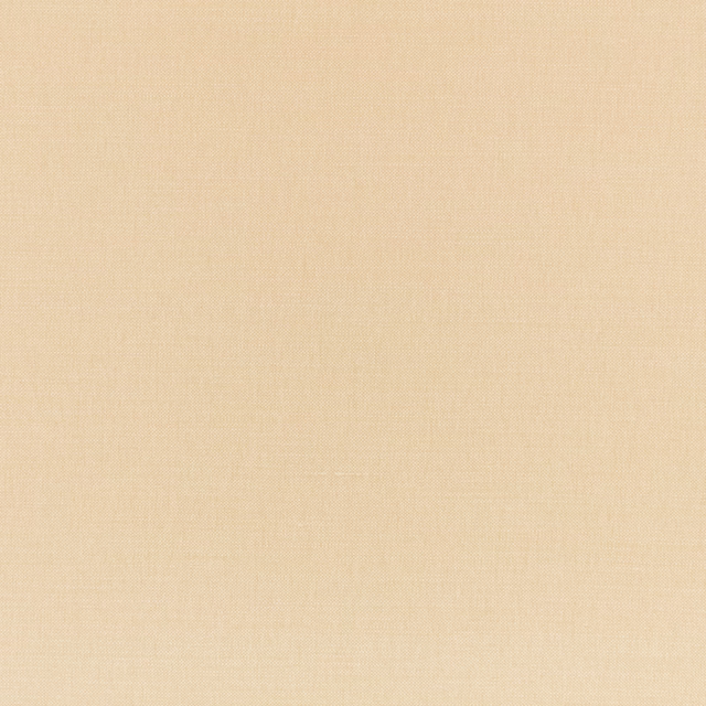 Pale butterbean beige textile showing a fine, softly crosshatched plain weave