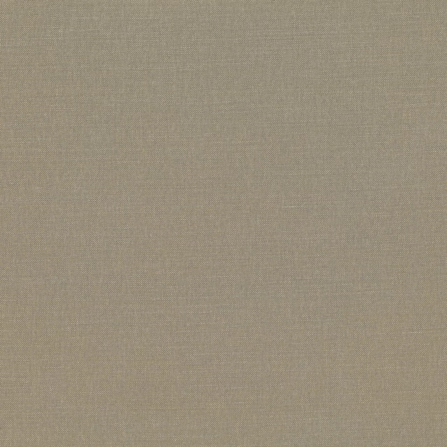Close-up of muted taupe-beige Linara Caper with a fine plain weave