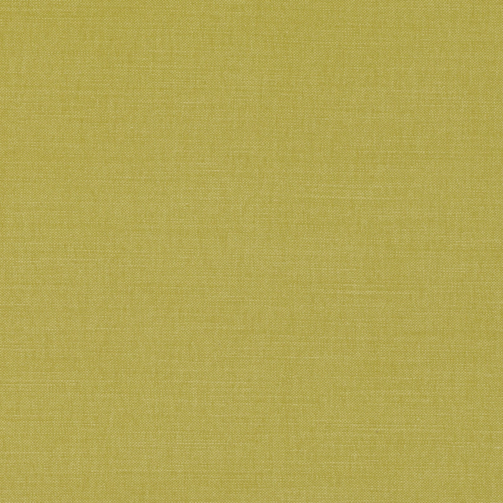 Close-up of muted olive-green Linara Cypress with a fine, even weave