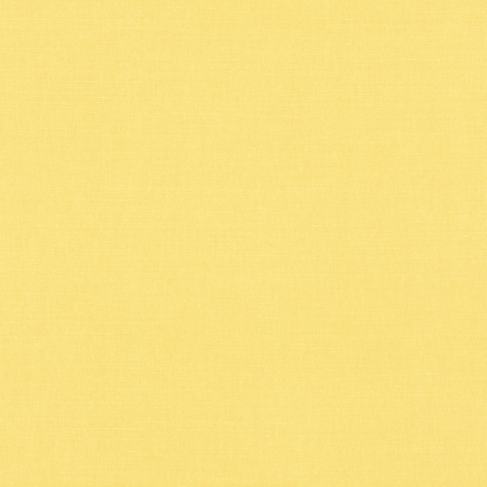 Warm daffodil yellow plain weave with a soft, finely textured surface