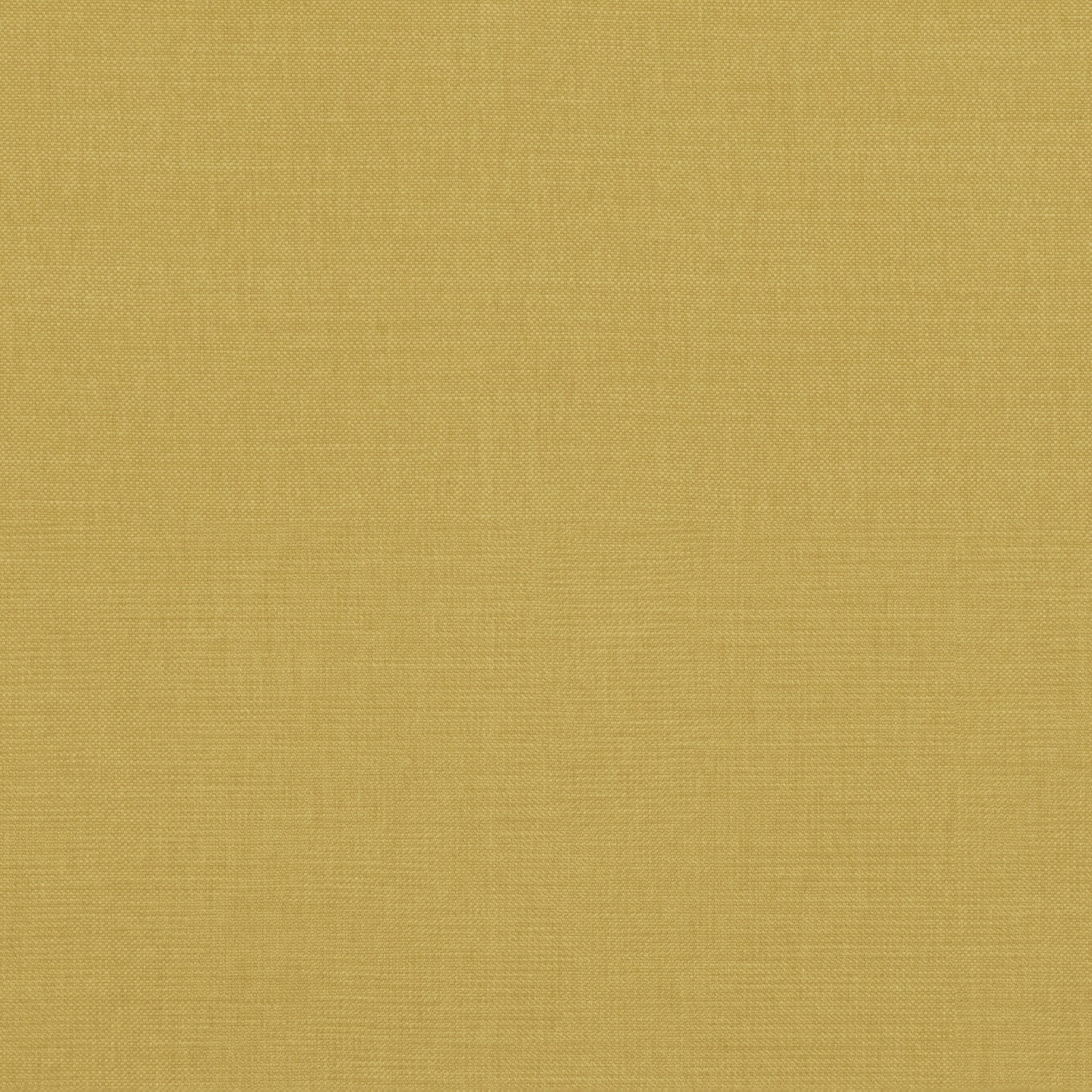 Warm fenugreek mustard plain weave with a fine crosshatched surface