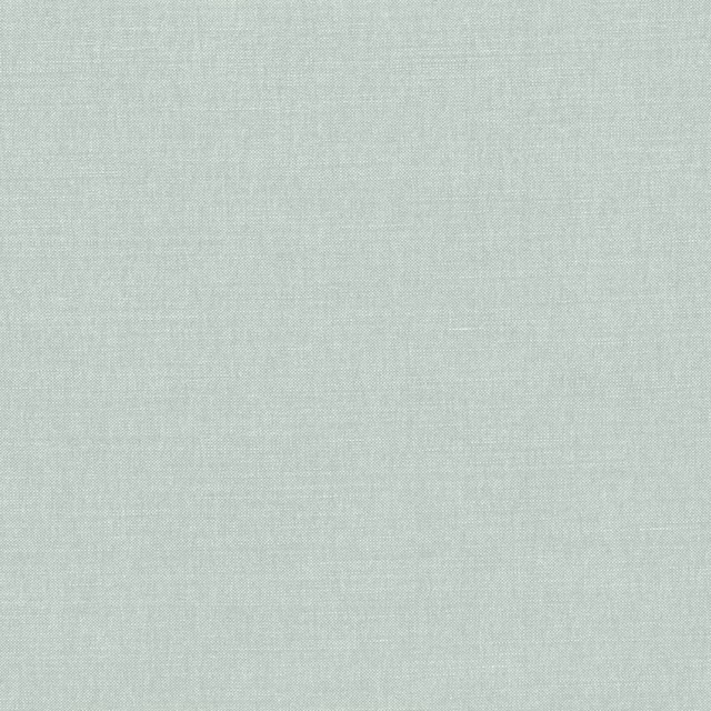 Pale greyed French blue fabric with a fine, subtly mottled plain weave