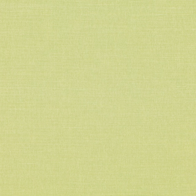 Pale gooseberry-green plain weave with a fine, softly textured surface