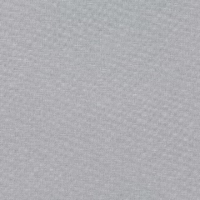 Cool pale-grey plain weave showing a fine, subtle crosshatch texture