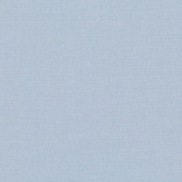 Pale icy-blue plain weave fabric with a subtle fine woven texture