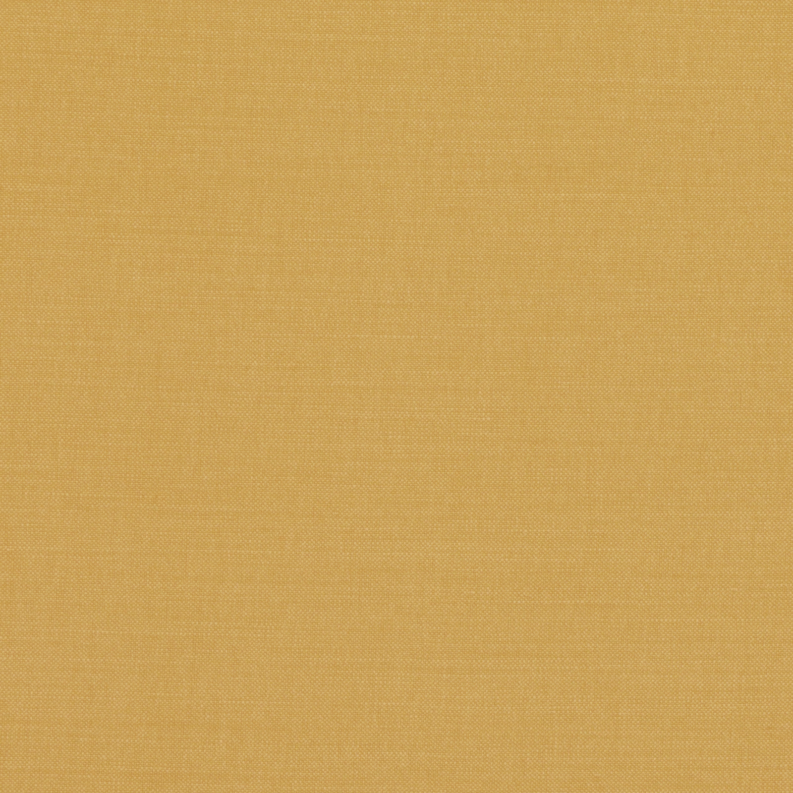 Warm ochre-gold plain weave with a tiny, even crosshatched texture