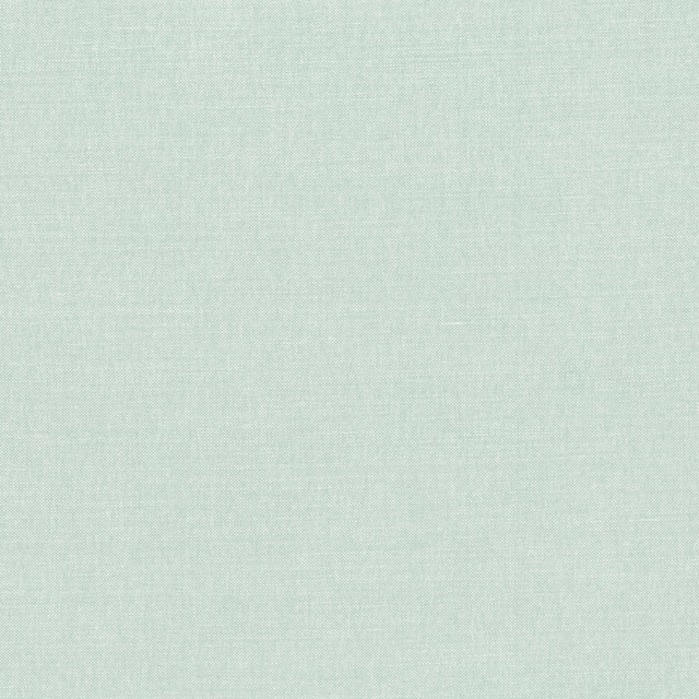 Pale mineral mint-green plain weave with a softly mottled surface