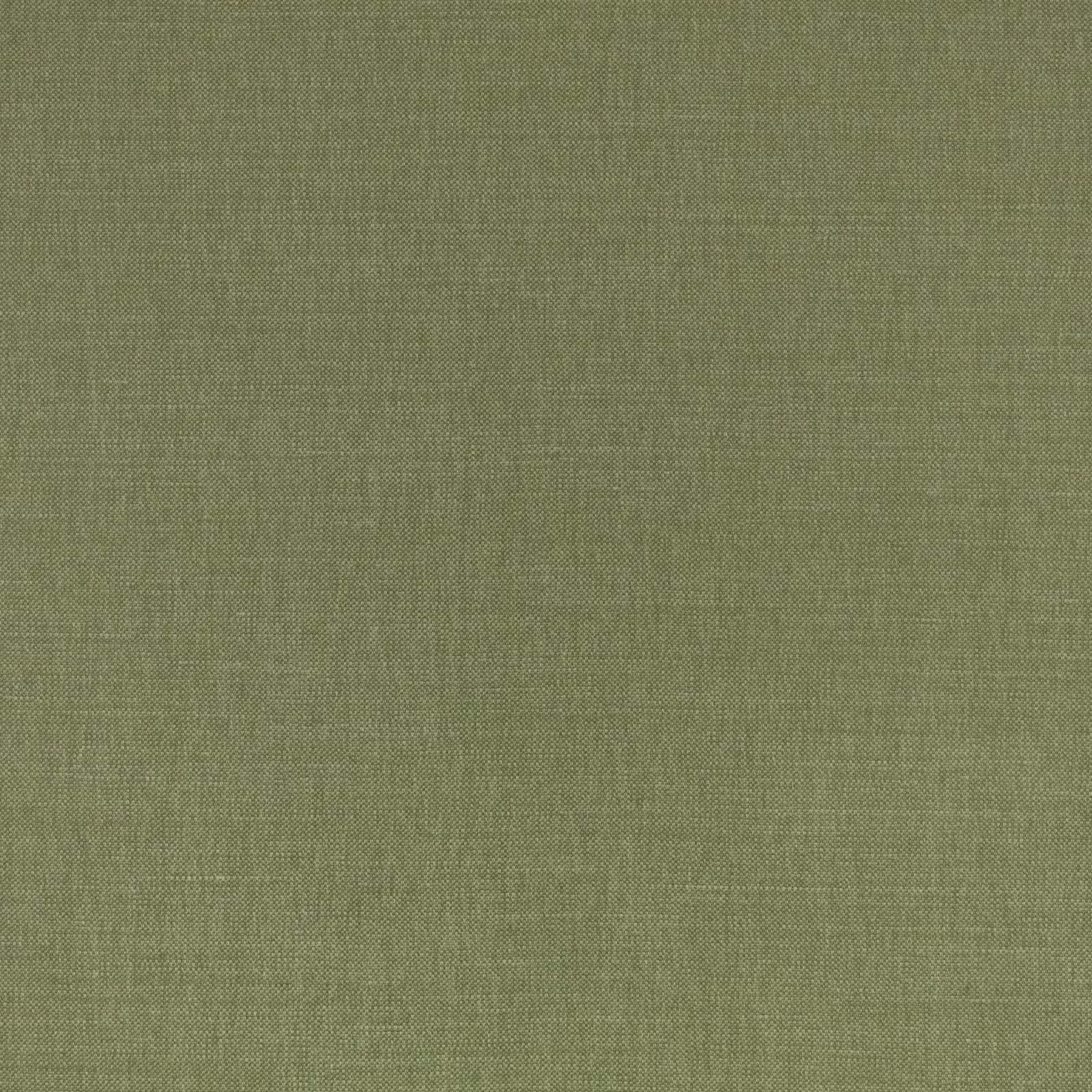 Close-up of muted moss green plain weave with fine crosshatched texture