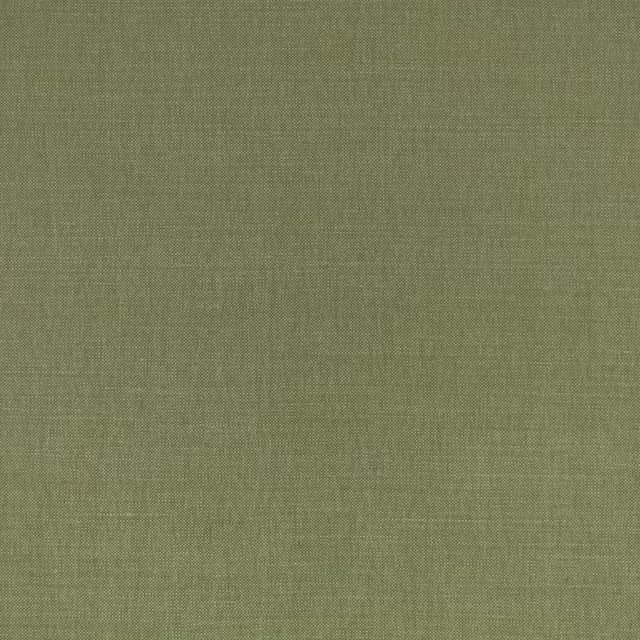 Close-up of muted moss green plain weave with fine crosshatched texture