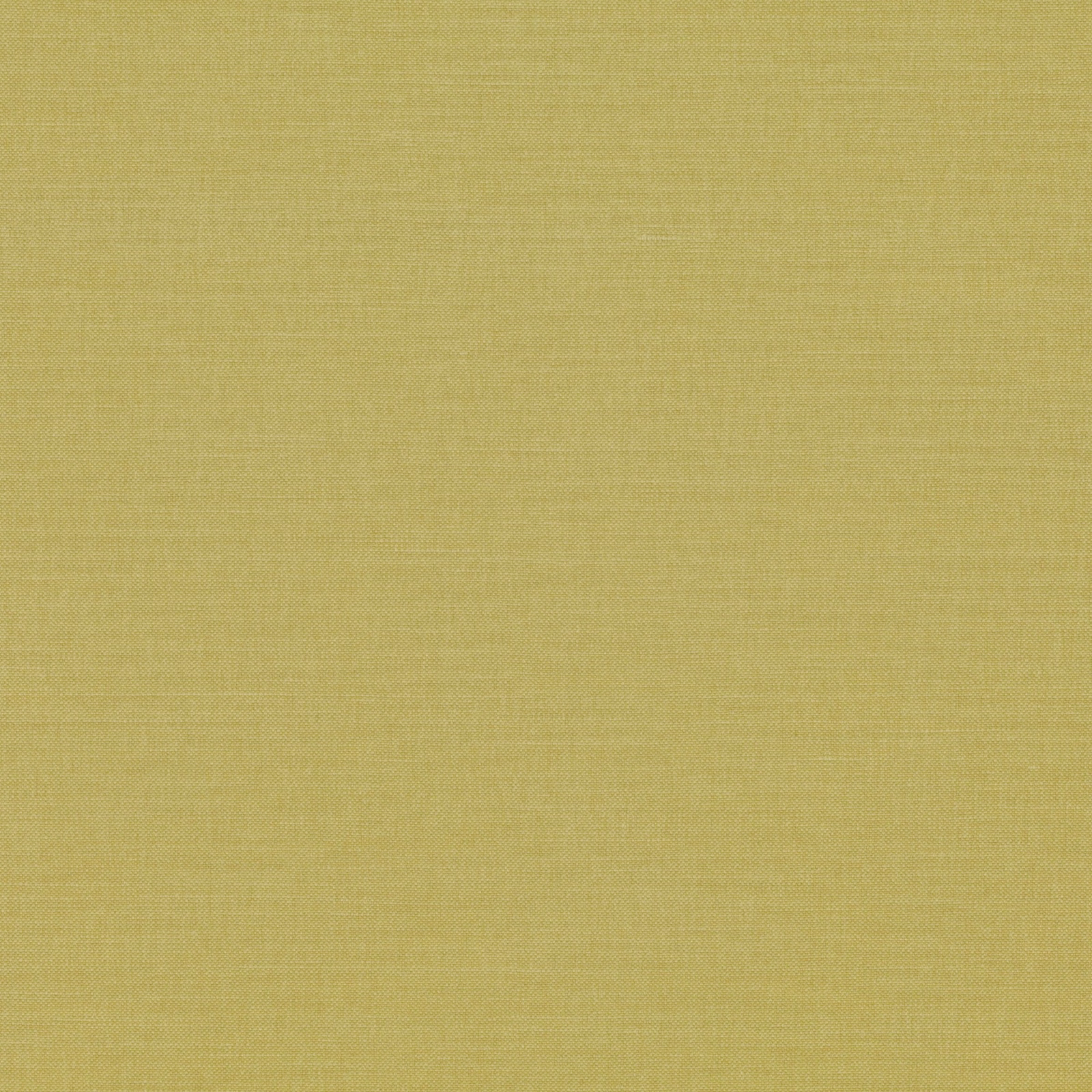 Muted pesto olive-yellow plain weave with a fine crosshatched texture