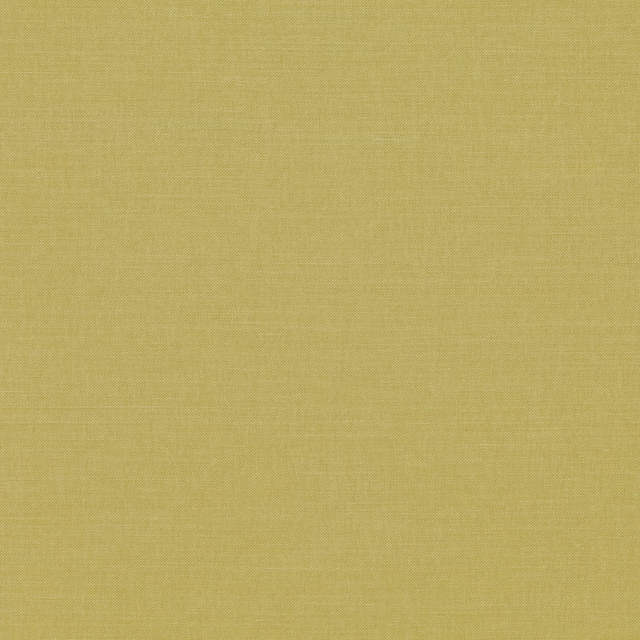 Muted pesto olive-yellow plain weave with a fine crosshatched texture