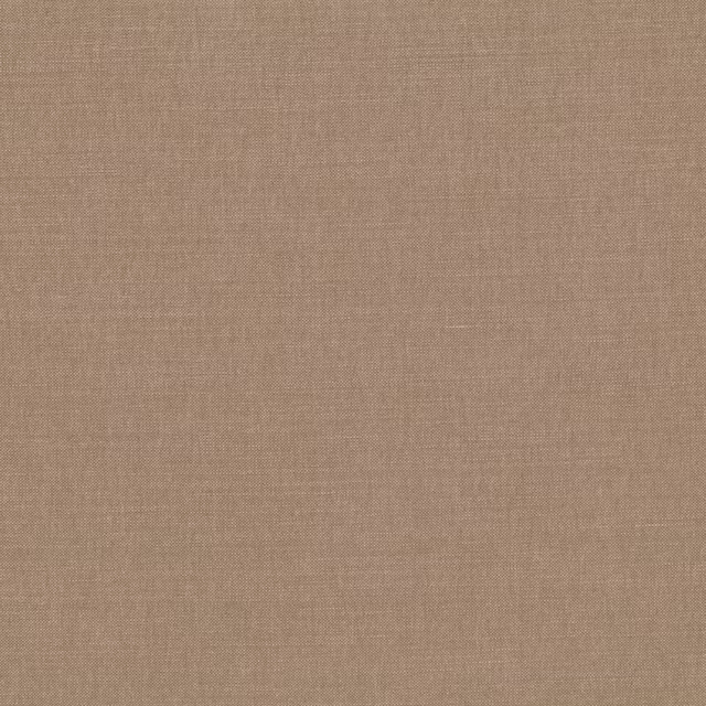Warm porcini taupe plain weave with a fine, softly irregular woven texture