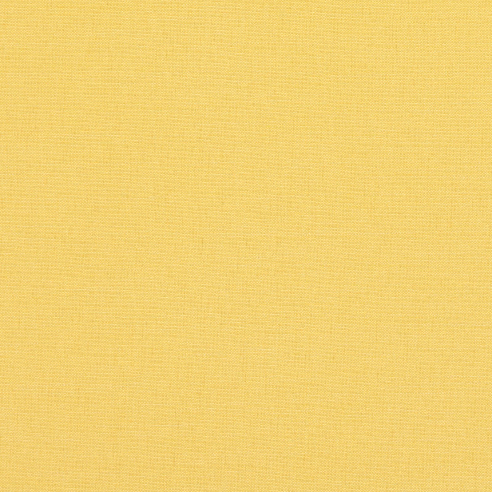 Close-up of warm golden-yellow plain weave with a fine, even texture