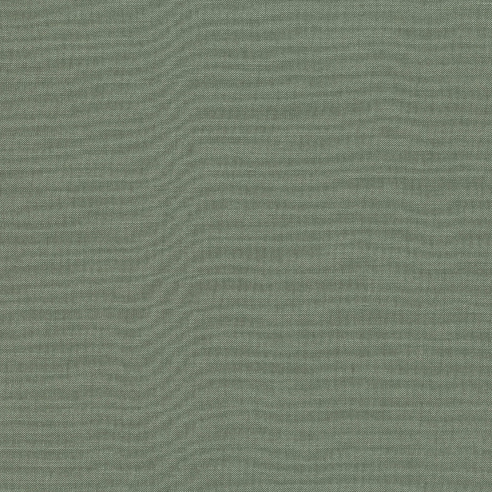 Muted spinach-green plain weave with fine greyed tonal texture