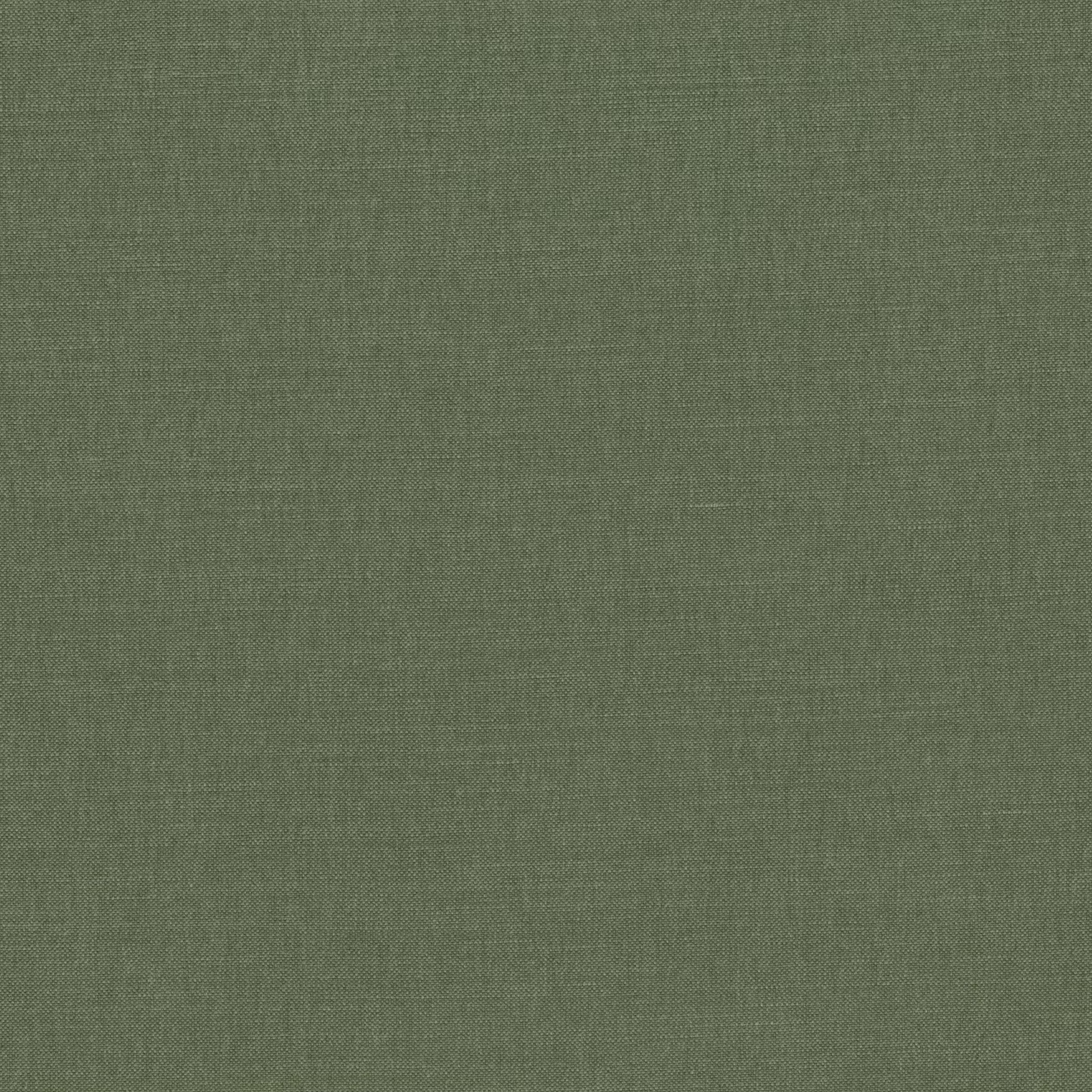 Muted tarragon-green plain weave showing fine crosswoven texture and tonal depth