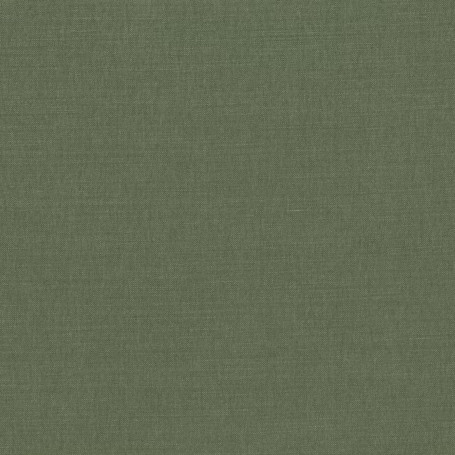 Muted tarragon-green plain weave showing fine crosswoven texture and tonal depth