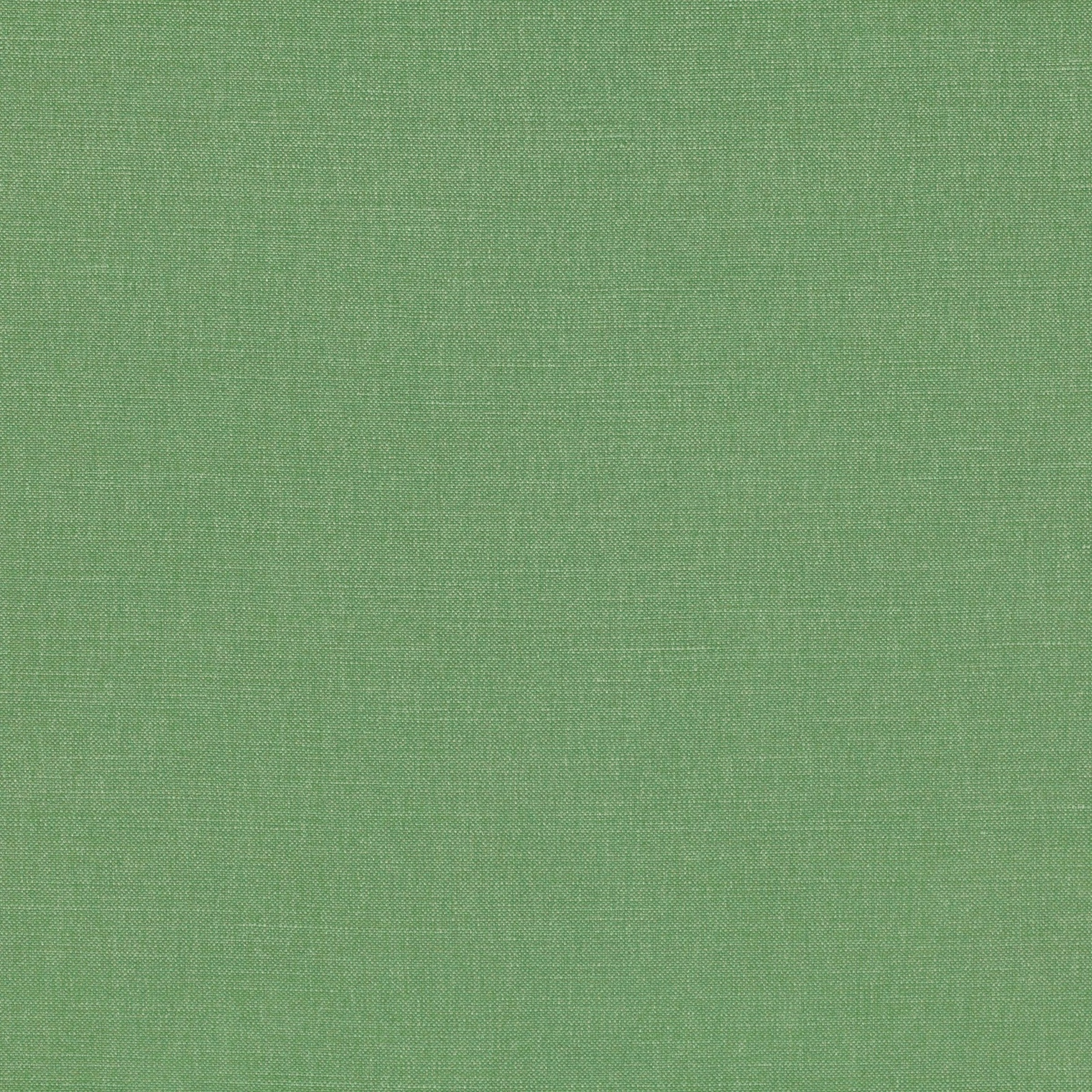 Muted thyme-green plain weave with fine crosshatching and softly varied surface texture