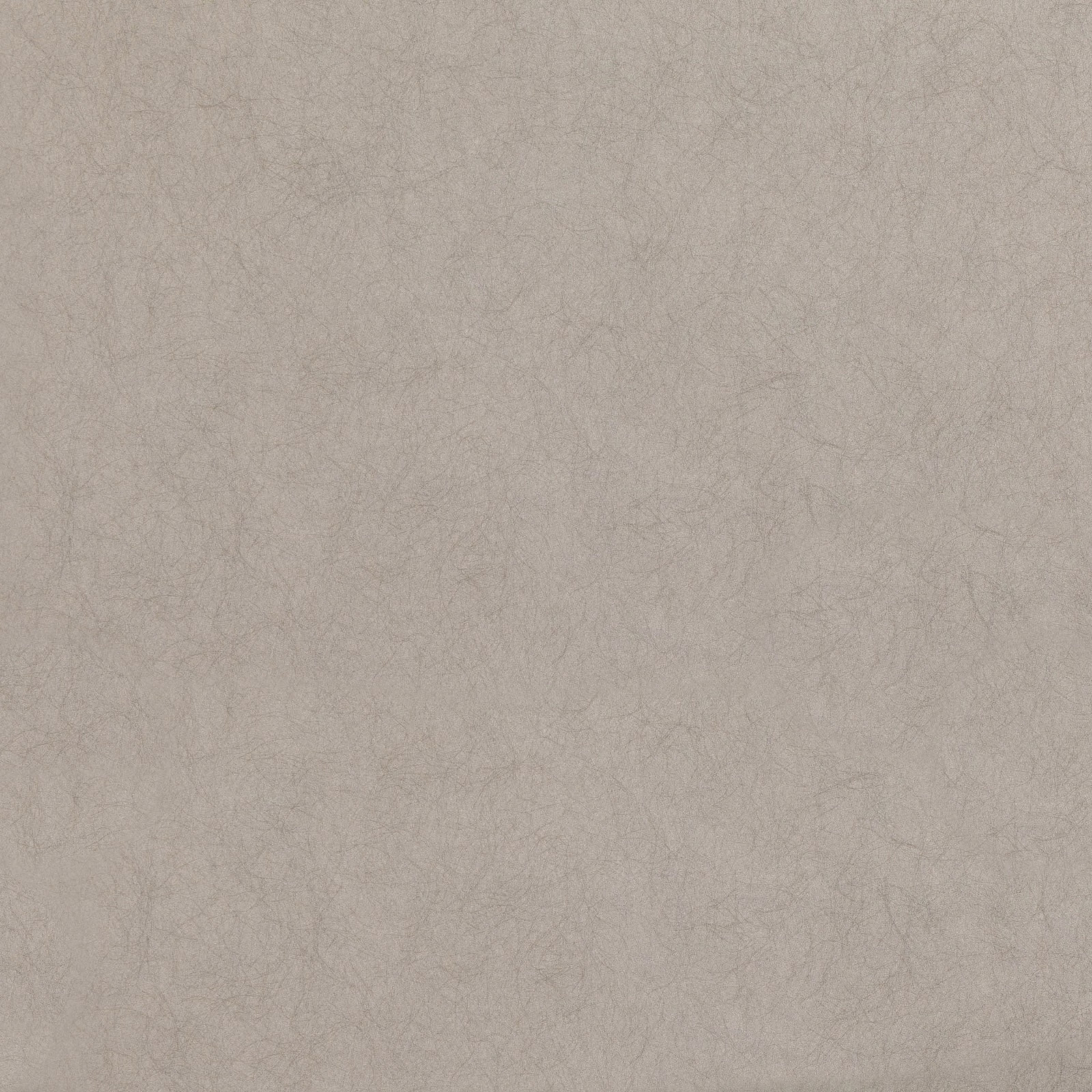 Soft taupe-grey wallpaper with faint branching mineral veining and a cloudy finish