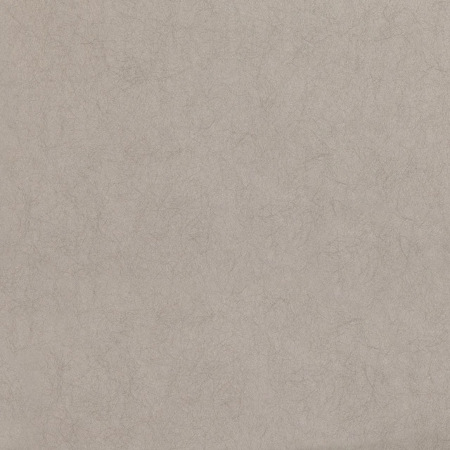 Soft taupe-grey wallpaper with faint branching mineral veining and a cloudy finish