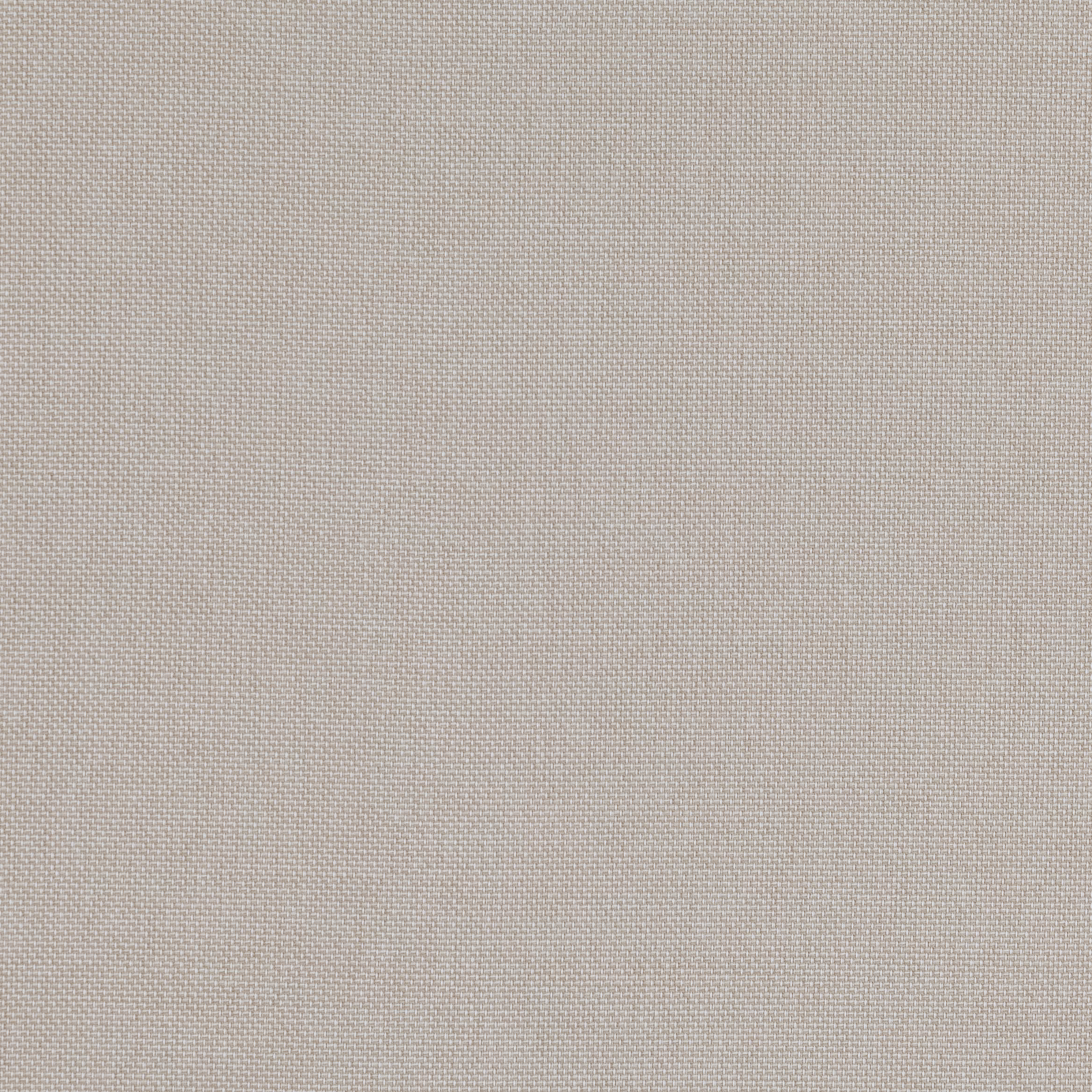 Pale oat beige plain weave with a finely grained, softly textured surface