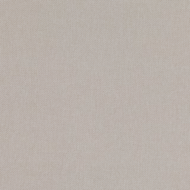Pale oat beige plain weave with a finely grained, softly textured surface