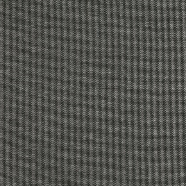 Close-up of Yara Iron showing a dense charcoal-grey plain weave with subtle tonal flecks