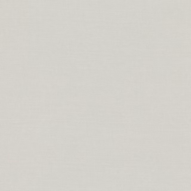 Pale silver-grey fabric with a subtle fine woven texture and soft tonal depth