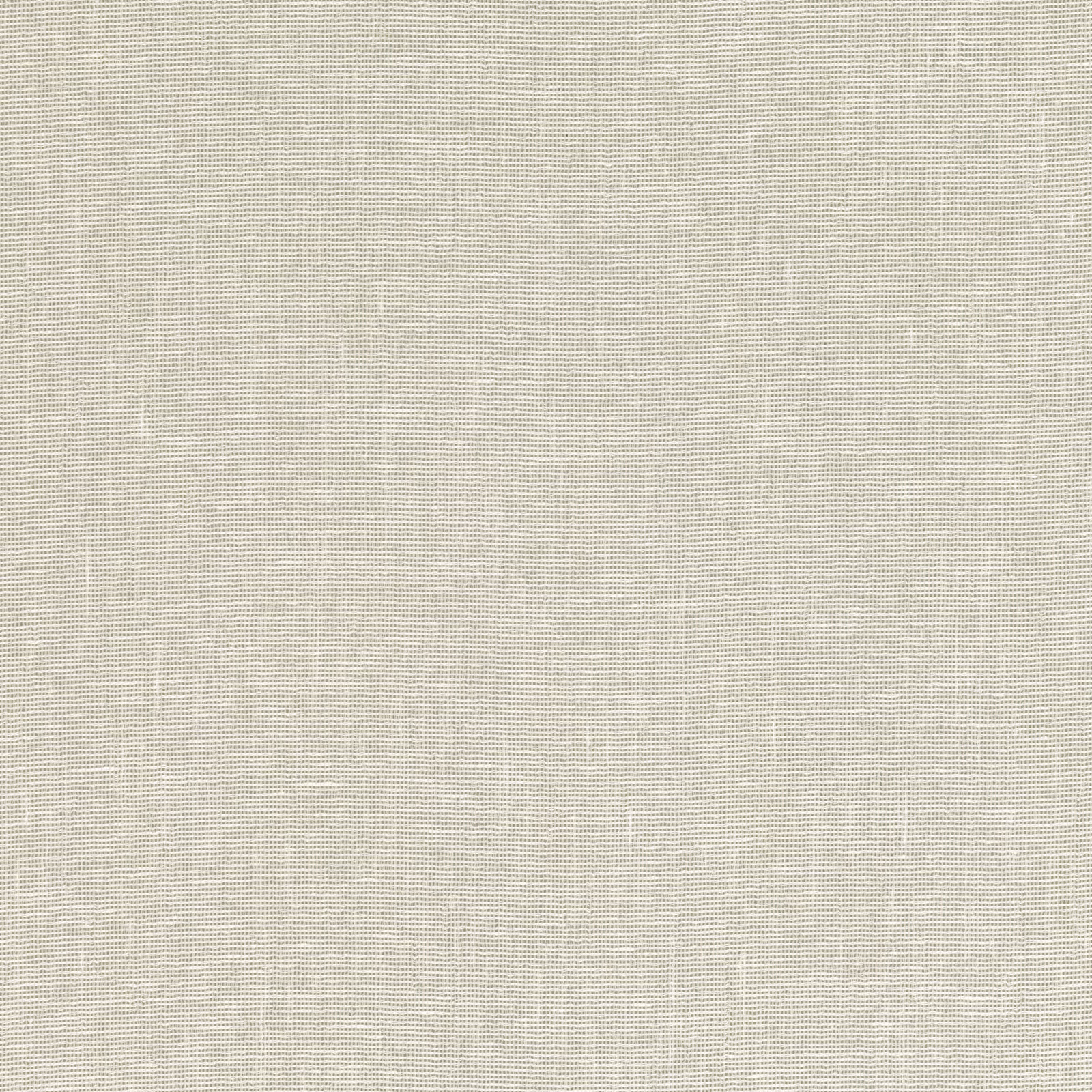 Pale shell fabric showing fine horizontal lines and subtle crosswoven texture