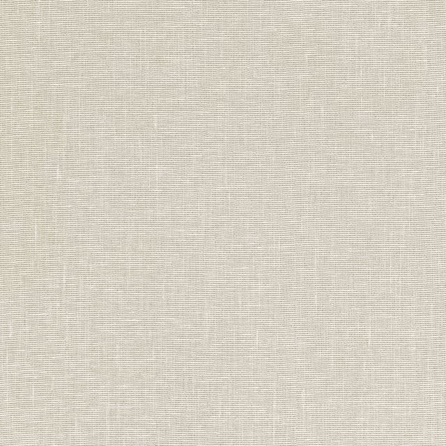 Pale shell fabric showing fine horizontal lines and subtle crosswoven texture