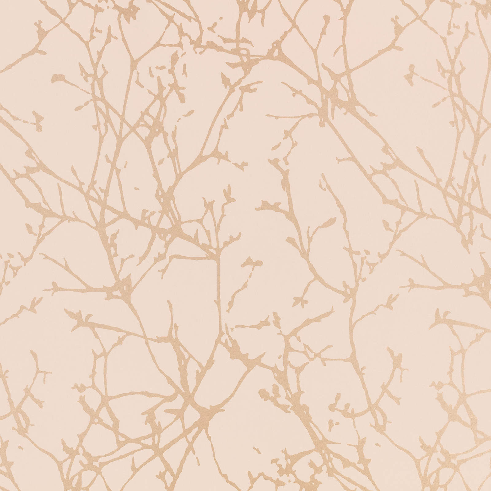 Pale blush wallpaper with fine taupe branching botanical tracery across the surface