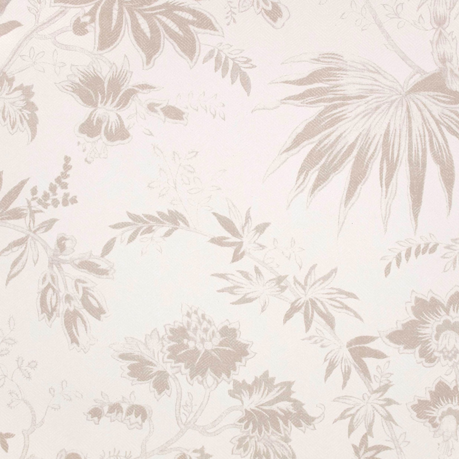 Ivory cream wallpaper with taupe flowers, sweeping leaves and delicate trailing botanical detail