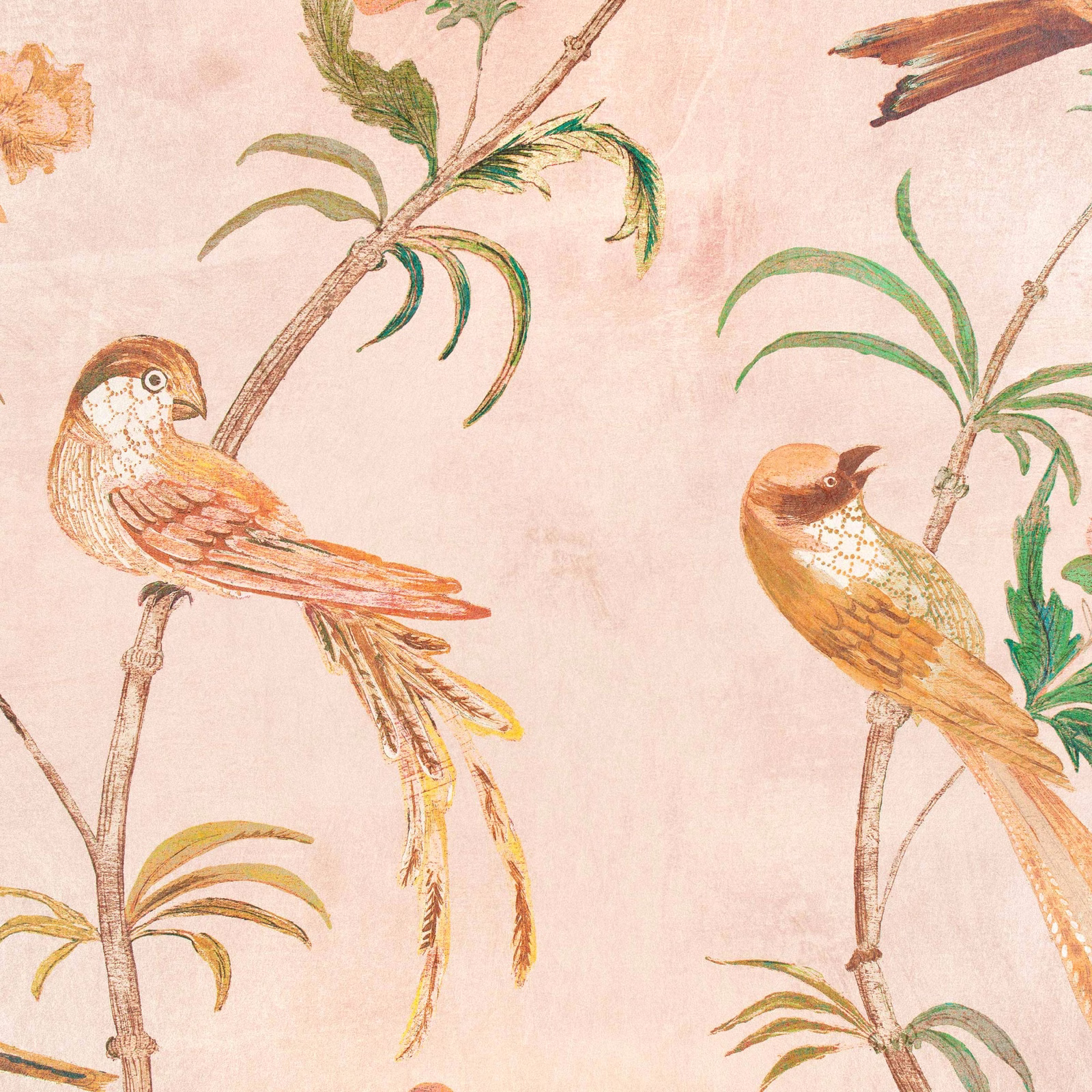 Blush wallpaper with illustrated songbirds, palm branches and softly weathered botanical detail