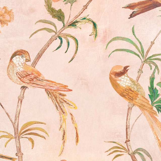 Blush wallpaper with illustrated songbirds, palm branches and softly weathered botanical detail