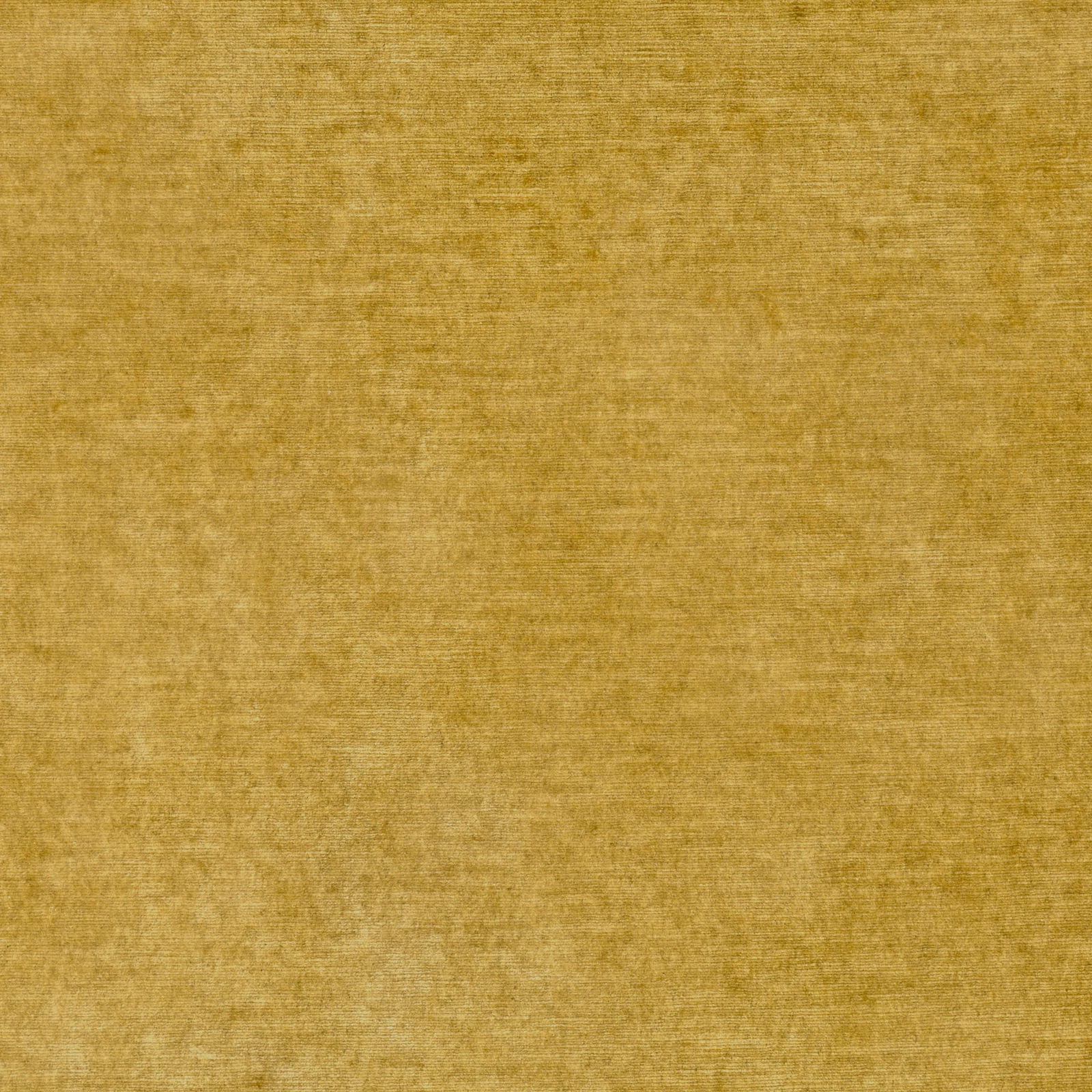 Warm maize-gold fabric with softly brushed pile and subtle horizontal tonal variation