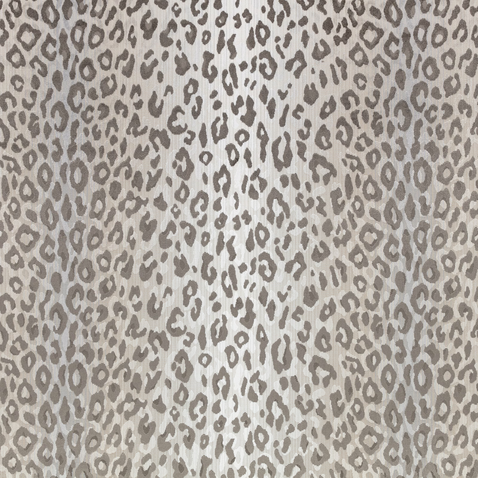 Cool grey velvet with softly shaded taupe leopard spots and subtle vertical texture
