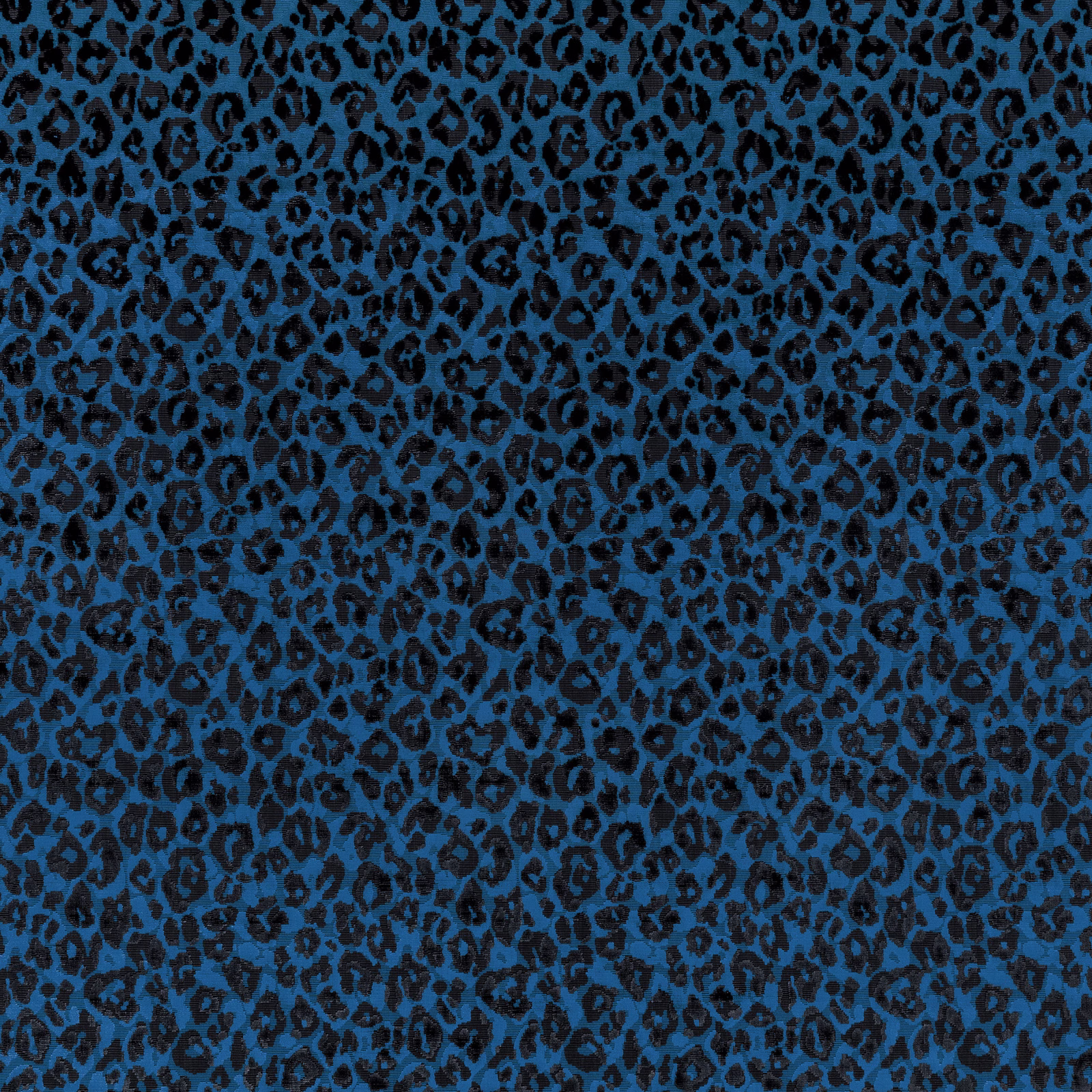 Saturated cobalt textile with dense black leopard-like rosettes and a softly textured surface